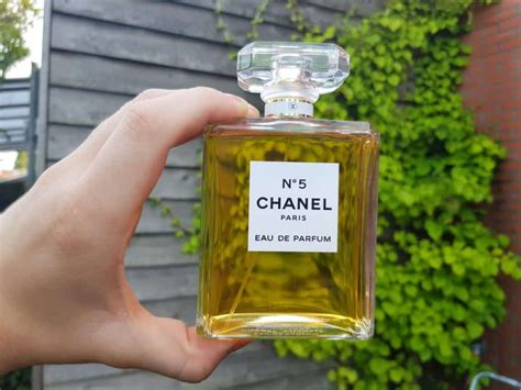 chanel no 5 similar perfume|fragrances similar to chanel 5.